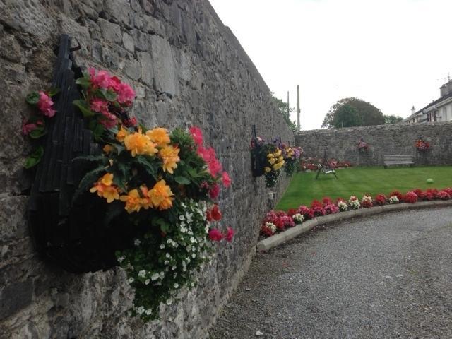 Ashmore House Cashel Kültér fotó