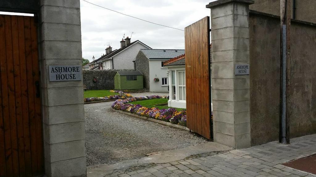 Ashmore House Cashel Kültér fotó